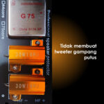 Crossover Pasif Pro-01