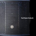 118 RX SUB FS1000-01