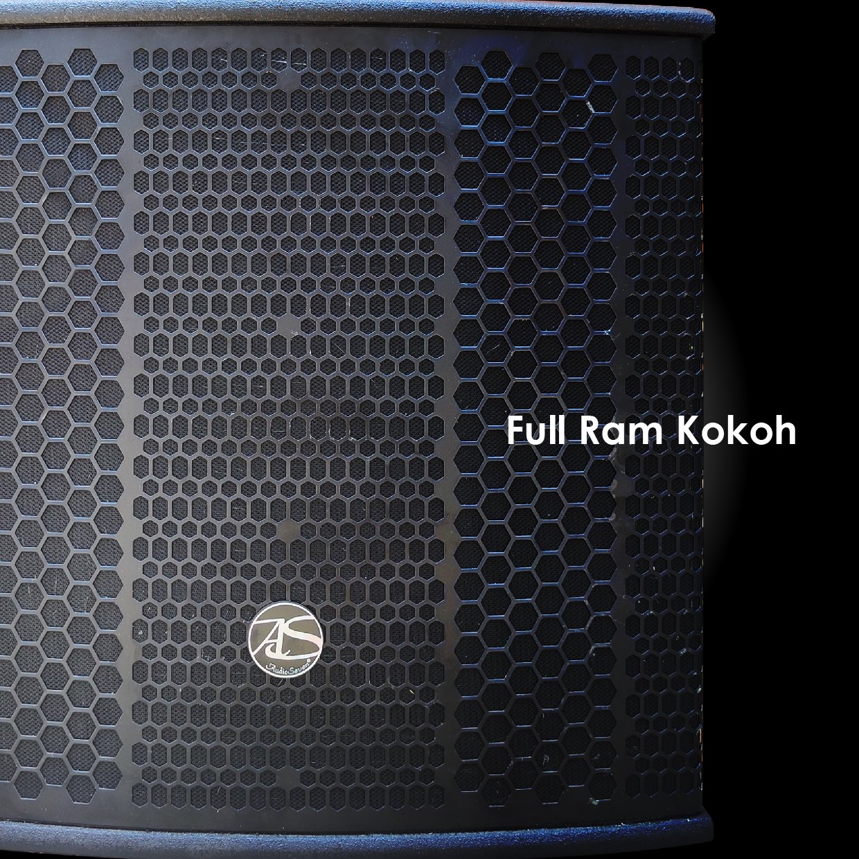 118 RX SUB FS1000-02